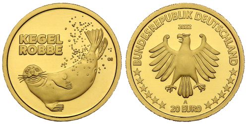20-euro-gold-kegelrobbe-brd-2022-1