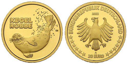 20-euro-gold-kegelrobbe-brd-2022-st-2